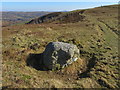 SJ1757 : Garreg Lwyd/Grey Stone - 2018 by John S Turner