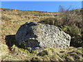 SJ1656 : 'Great Stone' boundary stone below Garreg Lwyd by John S Turner