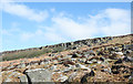 SK2682 : Boulders below Burbage Rocks by Trevor Littlewood