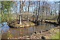 SO6856 : Moat at Lower Brockhampton by Philip Halling