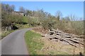 SO6756 : A timber stack beside the road to Hill House Farm by Philip Halling