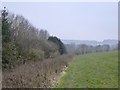 SJ8247 : Public footpath along edge of field by Jonathan Hutchins