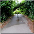 SO9322 : Honeybourne Line footpath & cycleway, Cheltenham by Jaggery