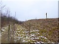 SJ8246 : Razor wire fencing at Gorsty Bank Quarry by Jonathan Hutchins