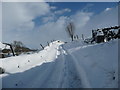 SD9197 : Walled track and bridleway, the Rigg, Muker by Christine Johnstone