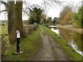 SK4027 : Trent and Mersey Canal at Weston-on-Trent by Alan Murray-Rust