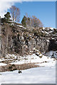 NY9840 : Quarry face, Stanhope Burn by Trevor Littlewood