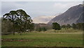 NY1203 : Wasdale by Peter Trimming