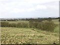 SJ8151 : Field corner on Bignall Hill by Jonathan Hutchins