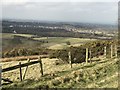 SJ8151 : Gorse on Bignall Hill by Jonathan Hutchins