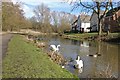 SK5701 : Grand Union Canal in Aylestone, Leicester by Mat Fascione