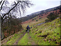 NZ0300 : Bridleway to Castle by Andy Waddington