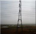 TQ5380 : Pylon, Rainham Marshes by N Chadwick