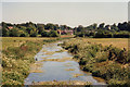 SU0212 : River Allen near Wimborne St Giles by Martin Bodman