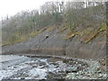 NY2824 : Eroded river cliff and fallen trees, near Briery by Christine Johnstone