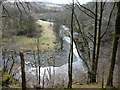 NY2824 : The River Greta from Brundholme Wood by Christine Johnstone