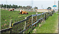 NZ3742 : Cattle behind complex fence by Trevor Littlewood