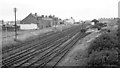 SH5800 : Towyn Goods Yard in 1969 by Martin Wynne