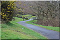 ST1189 : Path up from side of Nant Cwm-parc by M J Roscoe