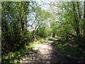 TQ1729 : Footpath, Chesworth Farm by PAUL FARMER