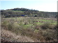 NT1476 : View from a Winchburgh-Queensferry train - nearing the Edinburgh-Fife line by Nigel Thompson