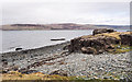 NM5037 : Rock outcrop at shore of Loch na Keal by Trevor Littlewood