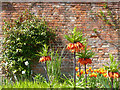 ST2885 : Border flowers, Tredegar House gardens, Newport by Robin Drayton