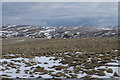 SN9063 : Rhos y Gelynnen - open hill above the dense forest by Andrew Hill