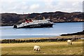 NB4331 : MV Loch Seaforth arrives in Stornoway by Adam Forsyth