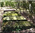 TG2108 : Sarcophagus-type gravestones in the gardens of remembrance by Evelyn Simak