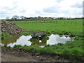 SE6552 : Trough on waterlogged ground, north of Murton by Christine Johnstone