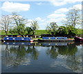 TQ3488 : Narrowboats on Lee Navigation by PAUL FARMER