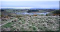 NS5161 : New wetland northwest of Hurlet Hill by Richard Sutcliffe