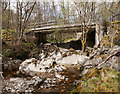 NH3739 : Bridge over the Neaty Burn by Craig Wallace