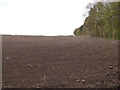 SE3041 : Tilled field above Wigton Knowle woods by Stephen Craven