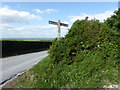 TQ5303 : Sign South Downs Way at Lullington by PAUL FARMER