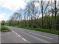 SO1825 : Tree-lined bank of Rhiangoll north of Cwmdu, Powys by Jaggery