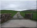 SD5160 : Track to Greenlot Farm, Quernmore by Stephen Armstrong