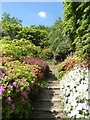 SU9941 : Winkworth Arboretum - Azalea Steps - top by Rob Farrow