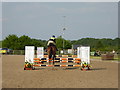 SJ8065 : Louise Chell and Willy Wiz in the showjumping by Jonathan Hutchins