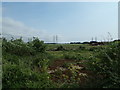 TM4662 : Farmland off Sizewell Gap by Geographer