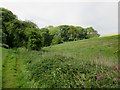 TA0677 : Looking  back  to  the  trees  in  Stocking  Dale by Martin Dawes