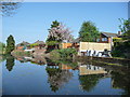 SJ9501 : Rocester Avenue back gardens by Christine Johnstone