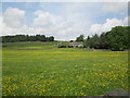 SD8691 : Hay  meadows  full  of  wild  flowers  near  Hardraw by Martin Dawes