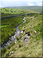 NY9805 : Stream flowing off Gale Head Moor by Andy Waddington