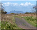 NT4477 : John Muir Way at Longniddry Bents by Mat Fascione