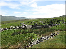  : Sheepfold near Moor Pot by John Slater