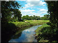 TQ1682 : River Brent, near Ealing by Malc McDonald