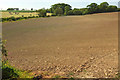 SS3914 : Tilled field northeast of Bulkworthy by Derek Harper