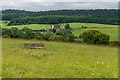 TQ0148 : Pewley Down by Ian Capper